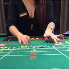 442 bet